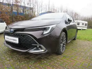 Toyota Corolla Hybrid Team D