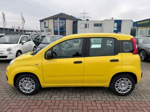 Fiat New Panda Bild 4
