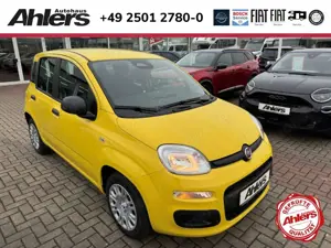 Fiat New Panda