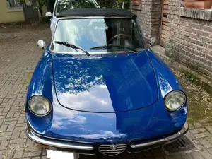Alfa Romeo Spider 1600 veloce Fastback, Ledersitze, H-Kennz.