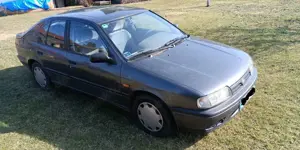 Nissan Primera Bild 3