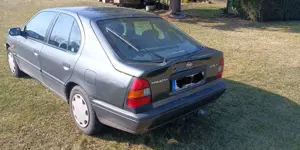 Nissan Primera Bild 2