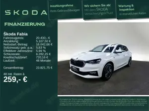 Skoda Fabia Tour 1.0 TSI AHK-VORB. LED RFK SHZ KEYL.