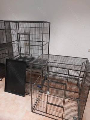 Große Zimmervoliere für Sittiche