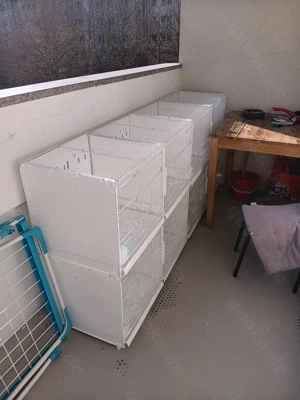 Zuchtkäfig firma Pukat. 2 GR 91.00 cm  45.00 Bild 7