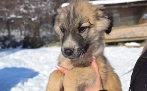 Begleitest du Moritz beim Großwerden?