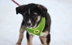 Lobella wartet auf ihre Familie