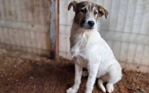 Melly soll nicht im Shelter aufwachsen