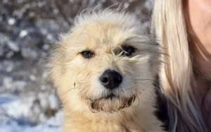 Wer schenkt Rigobert sein Herz?