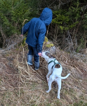 Traumzuhause gesucht 