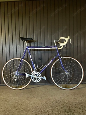 28 Zoll(Vintage Rennrad)Giant-Peloton-Superlite Shimano 105 Gruppe.RH66cm.(wie neu).