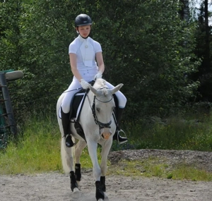 fantastisches Pony mit schwerem Herzen gegeben! Bild 2