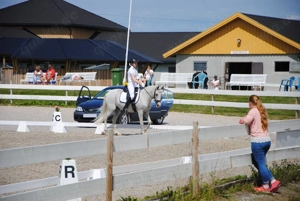 fantastisches Pony mit schwerem Herzen gegeben! Bild 3