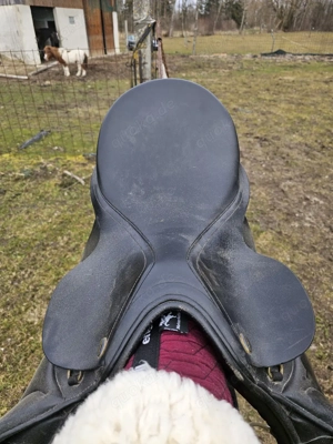 Freizeitsattel   Vielseitigkeitssattel