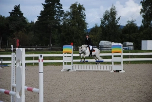 fantastisches Pony mit schwerem Herzen gegeben! Bild 6