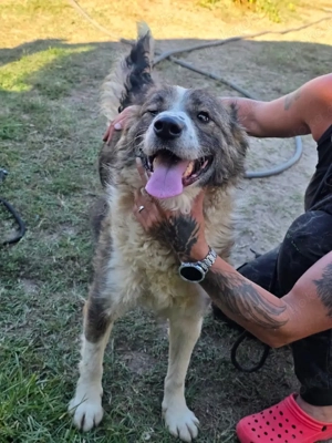 Jenna geschundene Seele sucht ihre Menschen