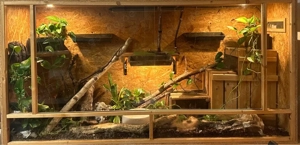 Terrarium  Bild 3