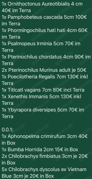 Vogelspinnen und Hundertfüssler Bild 8