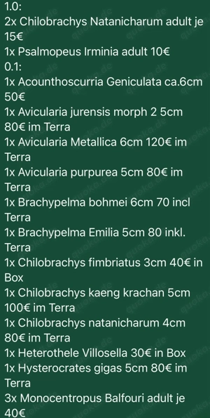 Vogelspinnen und Hundertfüssler Bild 7