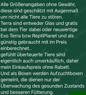 Vogelspinnen und Hundertfüssler Bild 10