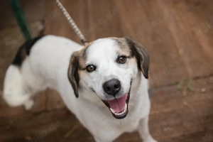 *CASPER* ist freundlich, menschenbezogen und sozial