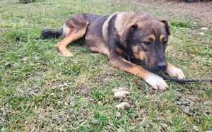 Gizmo möchte mit dir die Welt entdecken