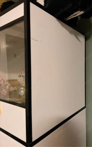 Terrarium Kunststoff Bild 2