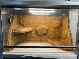 Terrarium zum Verkauf