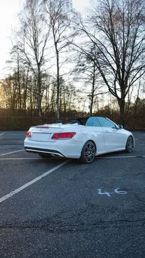 Mercedes-Benz E 250 E 250 BlueTec / d (207.404)