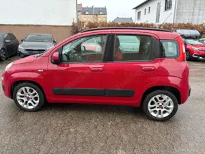 Fiat Panda Bild 4