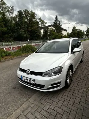 Volkswagen Golf Variant Cup