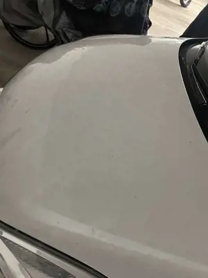 Opel Corsa Corsa 1.2 16V (ecoFLEX) Color Edition Bild 4