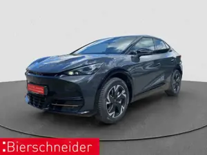 CUPRA Tavascan Endurance WÄPU SHZ GANZJAHR