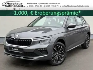 Skoda Kamiq 1.0 TSI Tour AHK ACC DAB Kessy LED