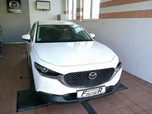 Mazda CX-30 SKYACTIV 150 AT Selection NAVI/KAMERA/HUD/WKR