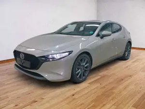 Mazda 3 2.5 Takumi AUTOMATIK Bose, 360°, Matrix