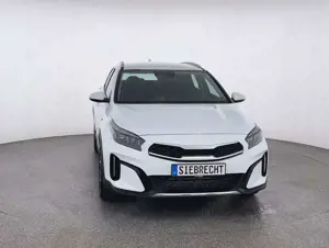 Kia XCeed Vision 1.5*NAVI*SHZ*RFK*uvm Bild 2