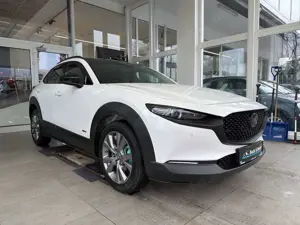 Mazda CX-30 Selection 2.0i*AUTOMATIK,BOSE,360GRAD,MATRIX*