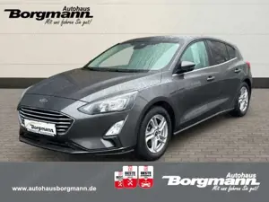 Ford Focus Active Navi Digitales Cockpit ACC Apple CarPlay An