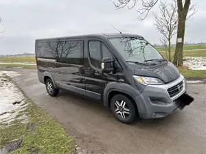 Fiat Ducato L2H1 Bild 3