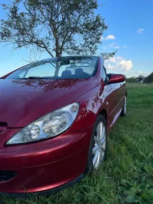 Peugeot 307 CC 180 Sport