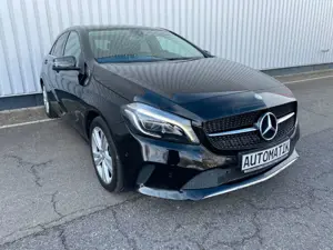 Mercedes-Benz A 180 CDI Automatik Vollleder AHK 8xAlu Bild 3