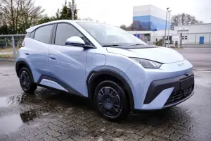 BYD Dolphin SURF ACTIVE FÖRDERFÄHIG!