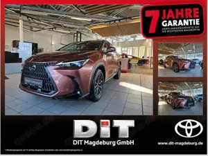 Lexus NX 350h Executive Line Inter.- und Tech.-Paket