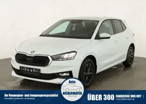 Skoda Fabia 1.0 TSI DSG Selection, KESSY, Kamera, 15-Zoll schw