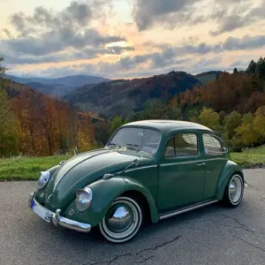 Volkswagen Käfer