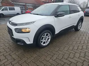 Citroen C4 Cactus Shine 9000 € Winterangebot
