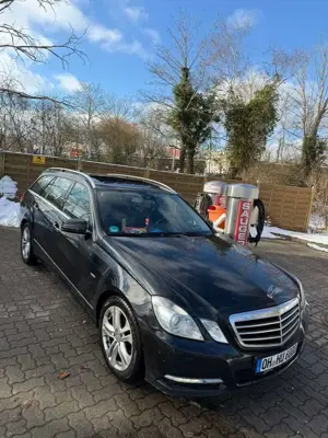 Mercedes-Benz E 220 Classe Break CDI BlueEFFICIENCY Avantgarde Executi