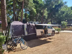 Volkswagen T5 California