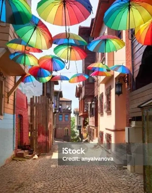 Kater sucht Kätzchen zum gemeinsamen Schnurren